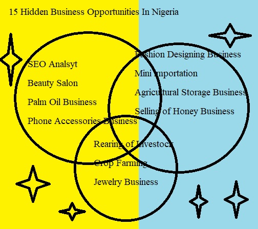 15 Hidden Business Opportunities In Nigeria