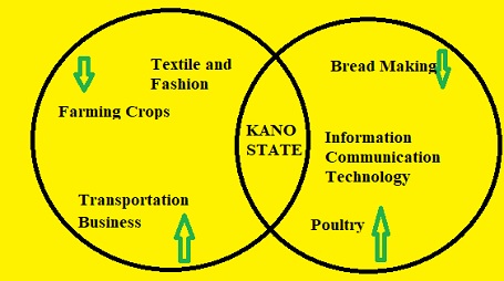 10 Lucrative Businesses in Kano State Nigeria